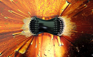 image credit: Gregory F. Maxwell; <a href="http://commons.wikimedia.org/wiki/File:Ferrofluid_poles.jpg" target="_blank">image source</a>; <a href="http://www.compadre.org/Informal/images/features/Ferrofluid_poles-large.jpg" target="_blank">larger image</a>