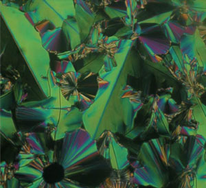 Image ©2011 <a href="http://www.aps.org/" target="_blank">American Physical Society</a>; <a href="http://www.aps.org/about/physics-images/bentcore.cfm" target="_blank">image source</a>; <a href=" http://www.compadre.org/informal/images/features/bentcore-liquid-crystals-la.jpg" target="_blank">larger image</a>
