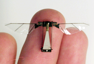 image credit: Robert Wood, Harvard University; <a href="http://micro.seas.harvard.edu/research.html" target="_blank">image source</a>; <a href="http://www.compadre.org/informal/images/features/robot-fly-large-10-16-09.gif" target="_blank">larger image</a>
