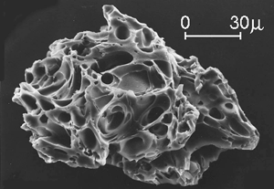 image credit: <a href="http://www.usgs.gov/" target="_blank">USGS</a>; <a href="http://svs.gsfc.nasa.gov/vis/a010000/a010300/a010392/index.html" target="_blank">image source</a>; <a href="http://www.physicstogo.org/images/features/volcanic_ash.-Large-4-26-10.gif" target="_blank">larger image</a>